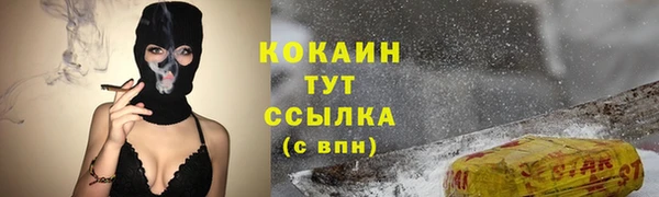 mdpv Тайга