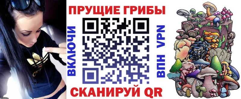 KRAKEN ссылка  Новохопёрск  Псилоцибиновые грибы Psilocybe  дарнет шоп 
